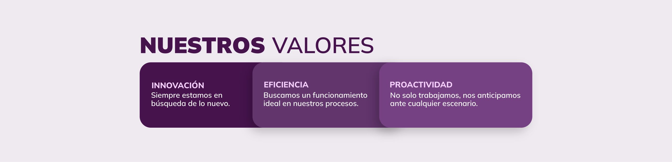nuestros valores